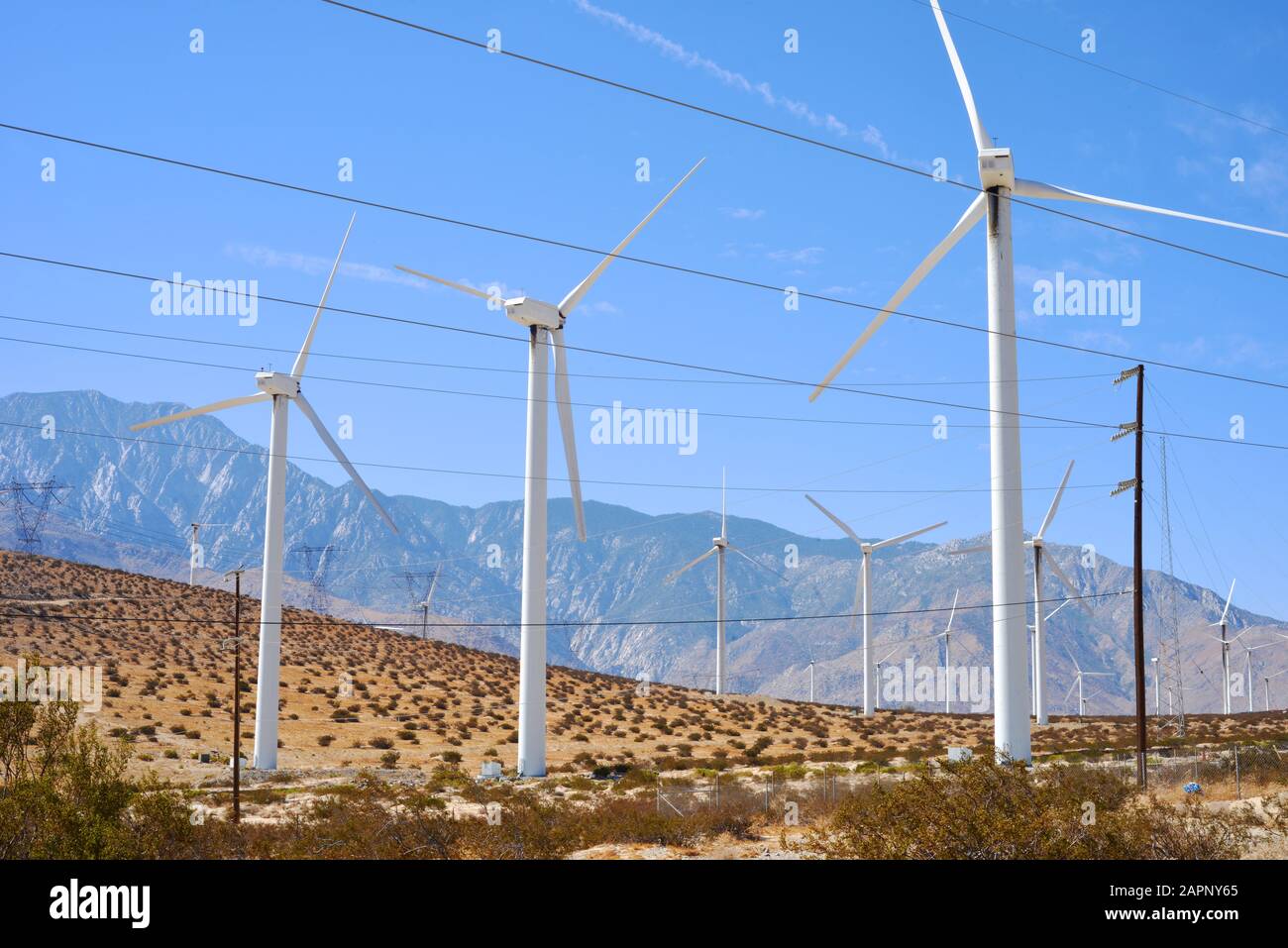 Windkraftanalagen und Stromleitungen in Kalifornien Stock Photo
