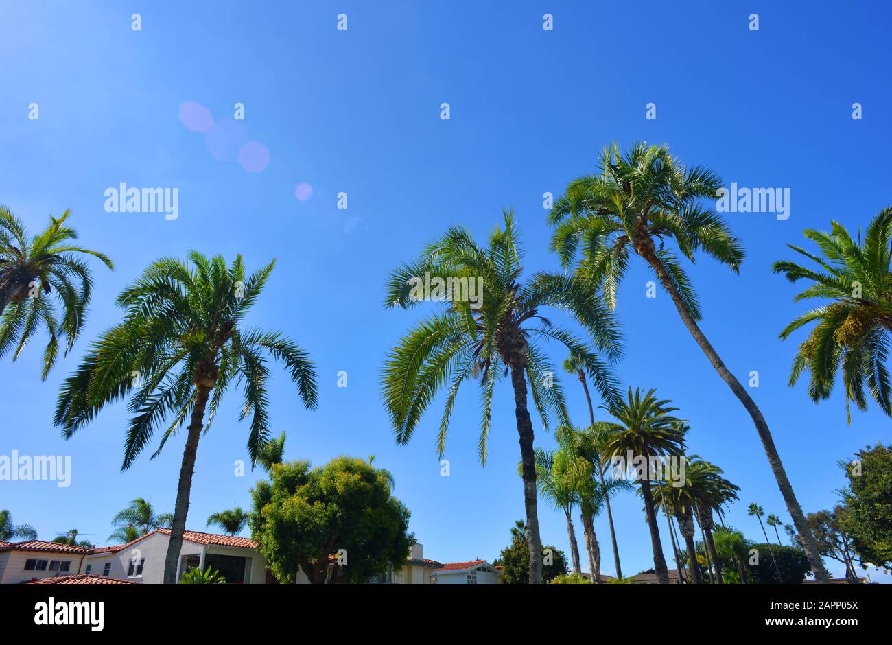 Palmen huntington beach hires stock photography and images Alamy