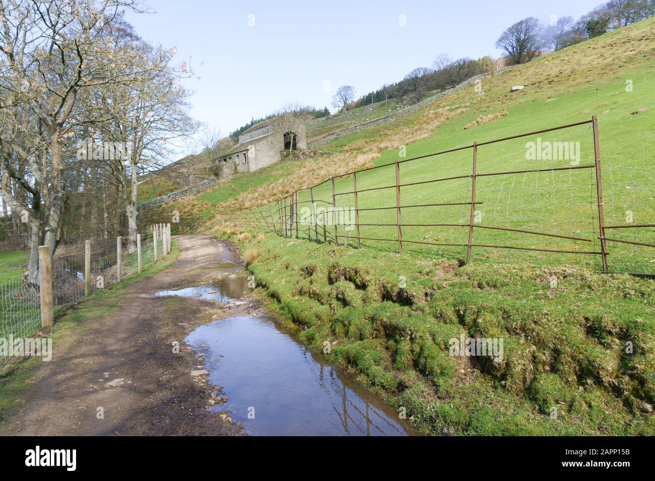 An old abandoned barn on a sloped hillside along The Nidderdale Way with large puddles, North Yorkshire, England, UK. Stock Photo