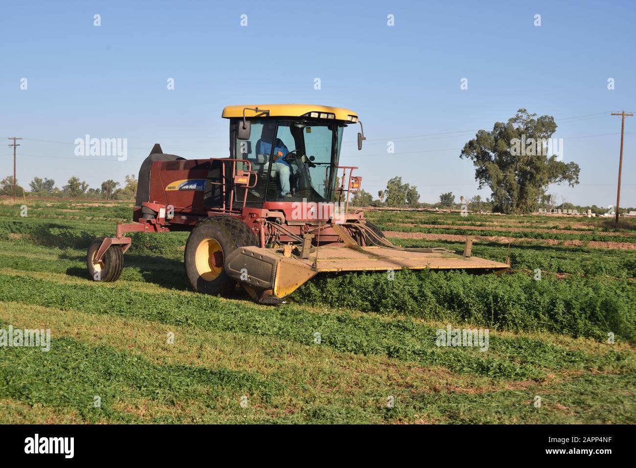 El Mirage, AZ. U.S.A. May 4, 2018. New Holland H8060 alfalfa harvester