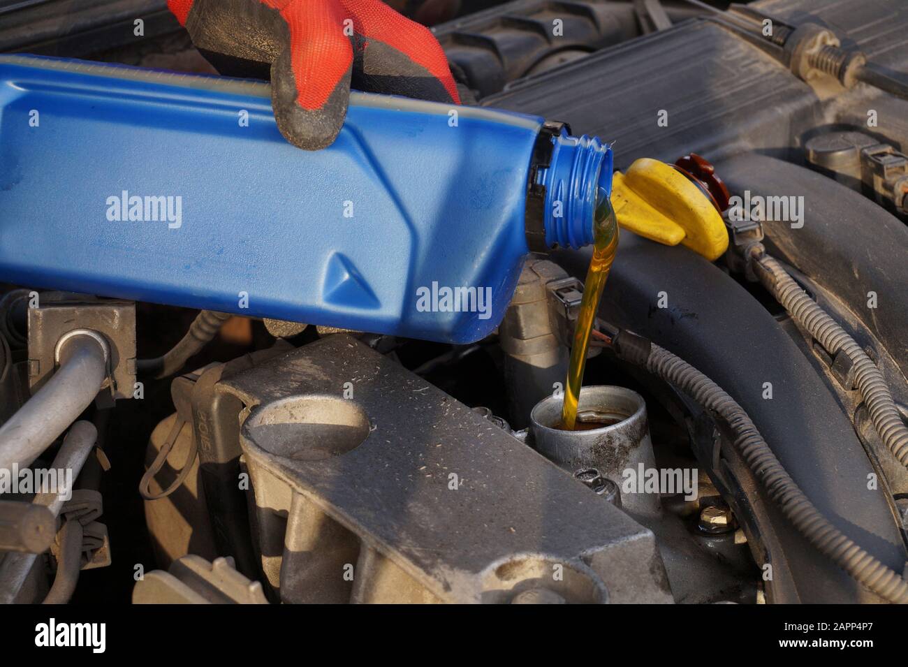 Car repair workshop. Topping up the engine oil level. Stock Photo