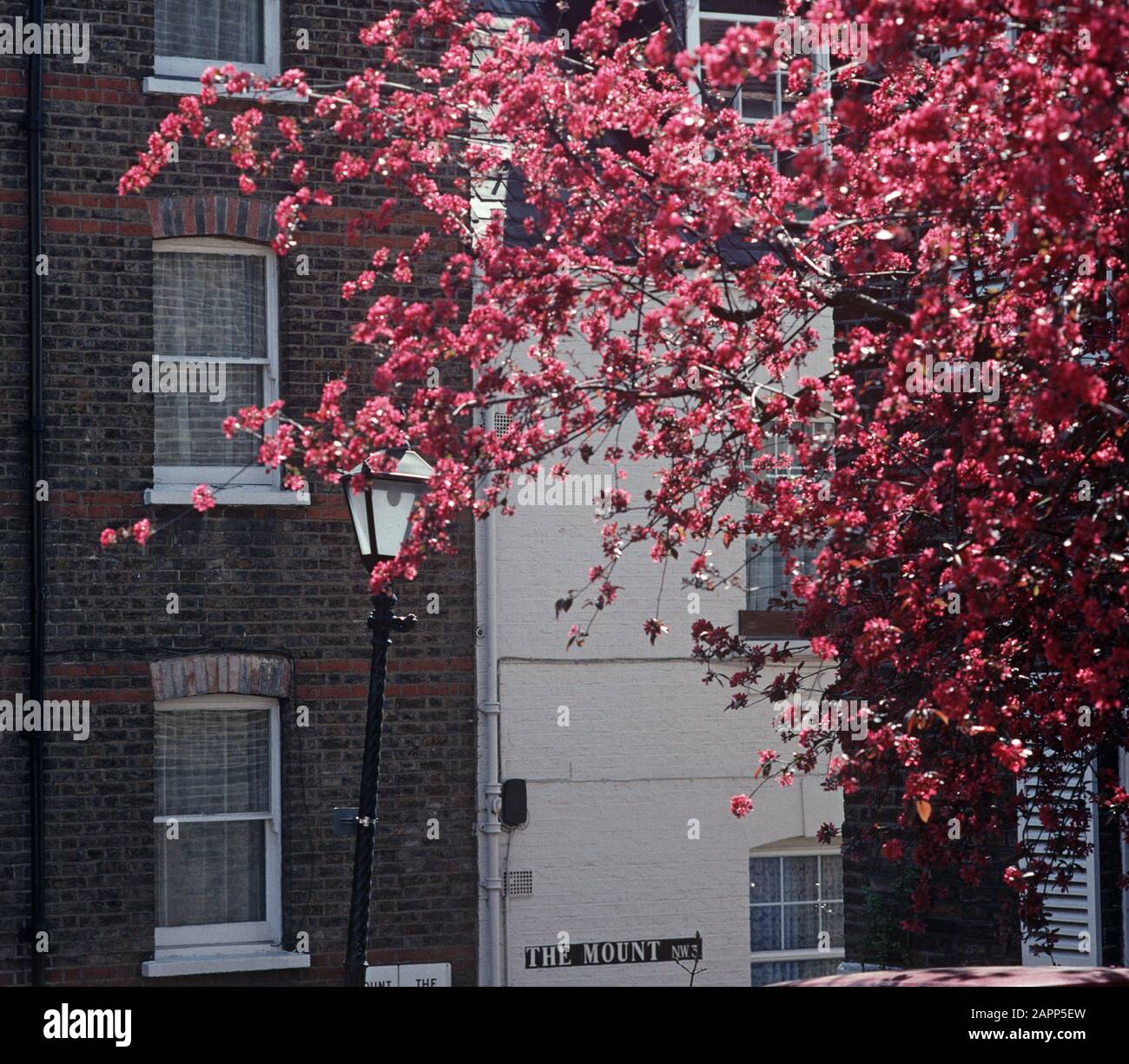 Hampstead, a little village next to Hampstead Heath, North London