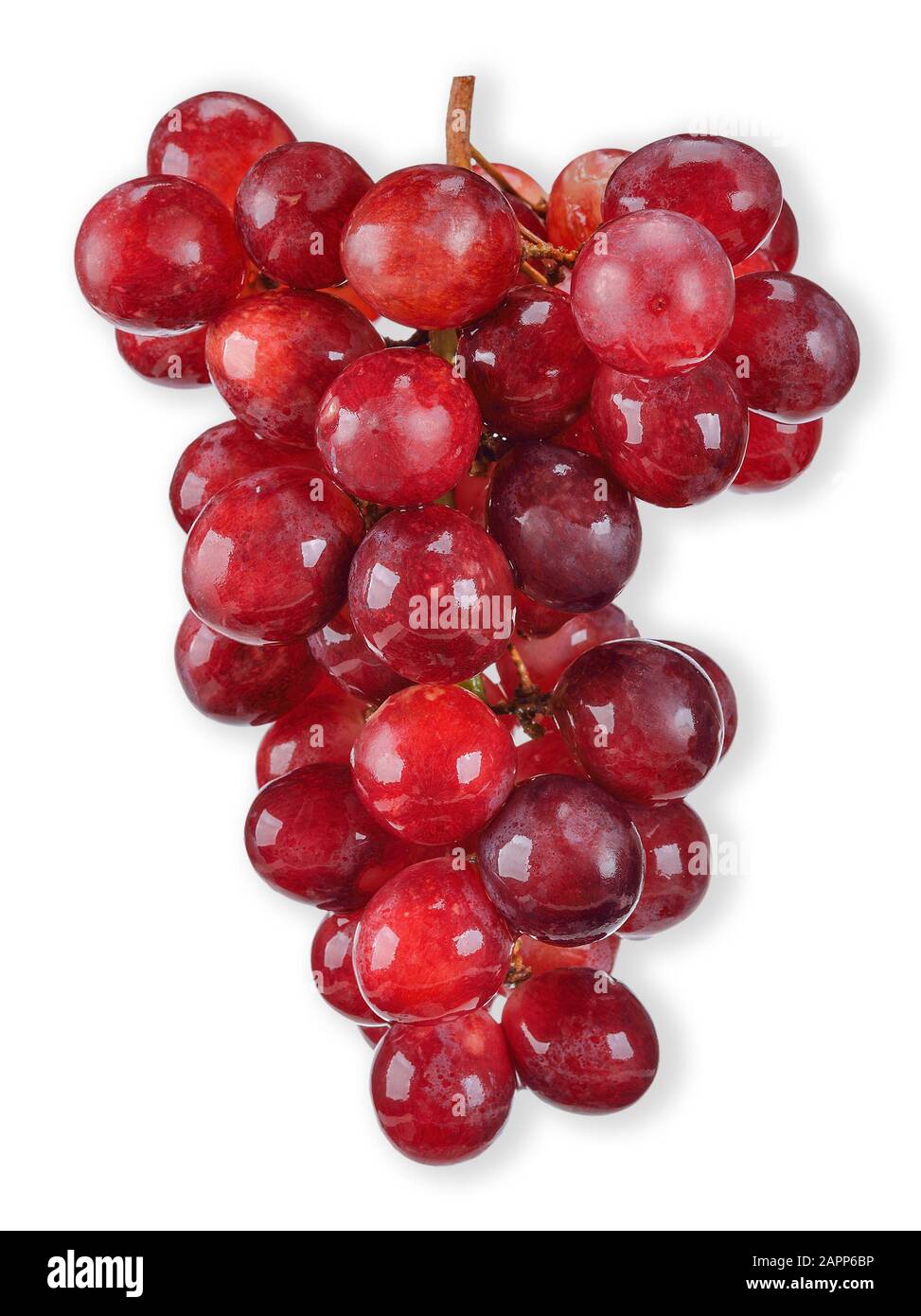 red grape isolated on white grape clipping path Stock Photo