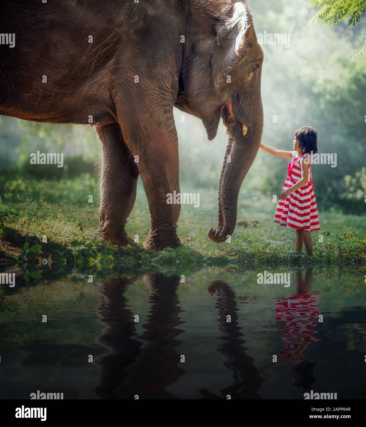 Child girl and elephant Stock Photo Alamy