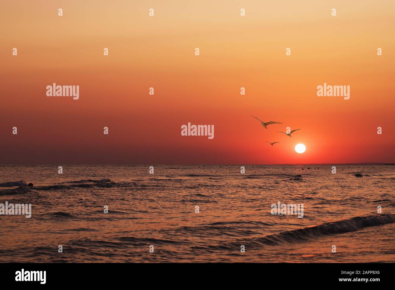 Beautiful evening sky beach hi-res stock photography and images - Alamy