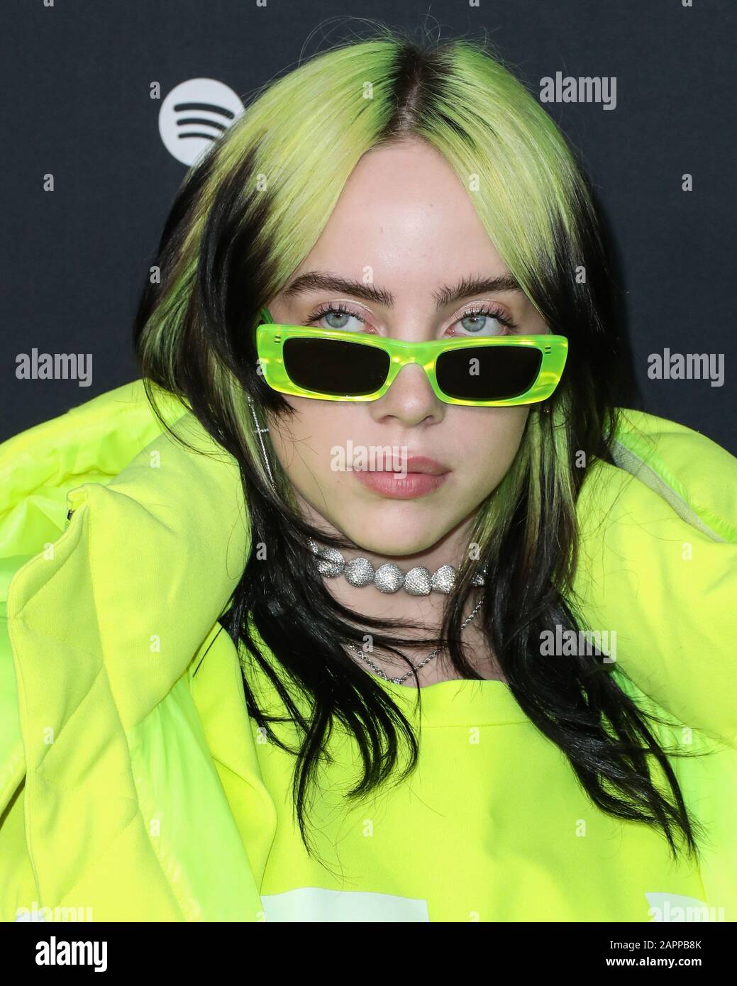 Billie eilish green clearance sweater