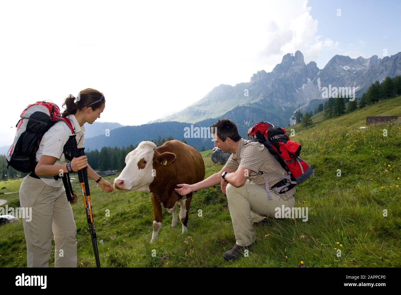 Ramsau am Dachstein, Wandern - Hiking Stock Photo - Alamy