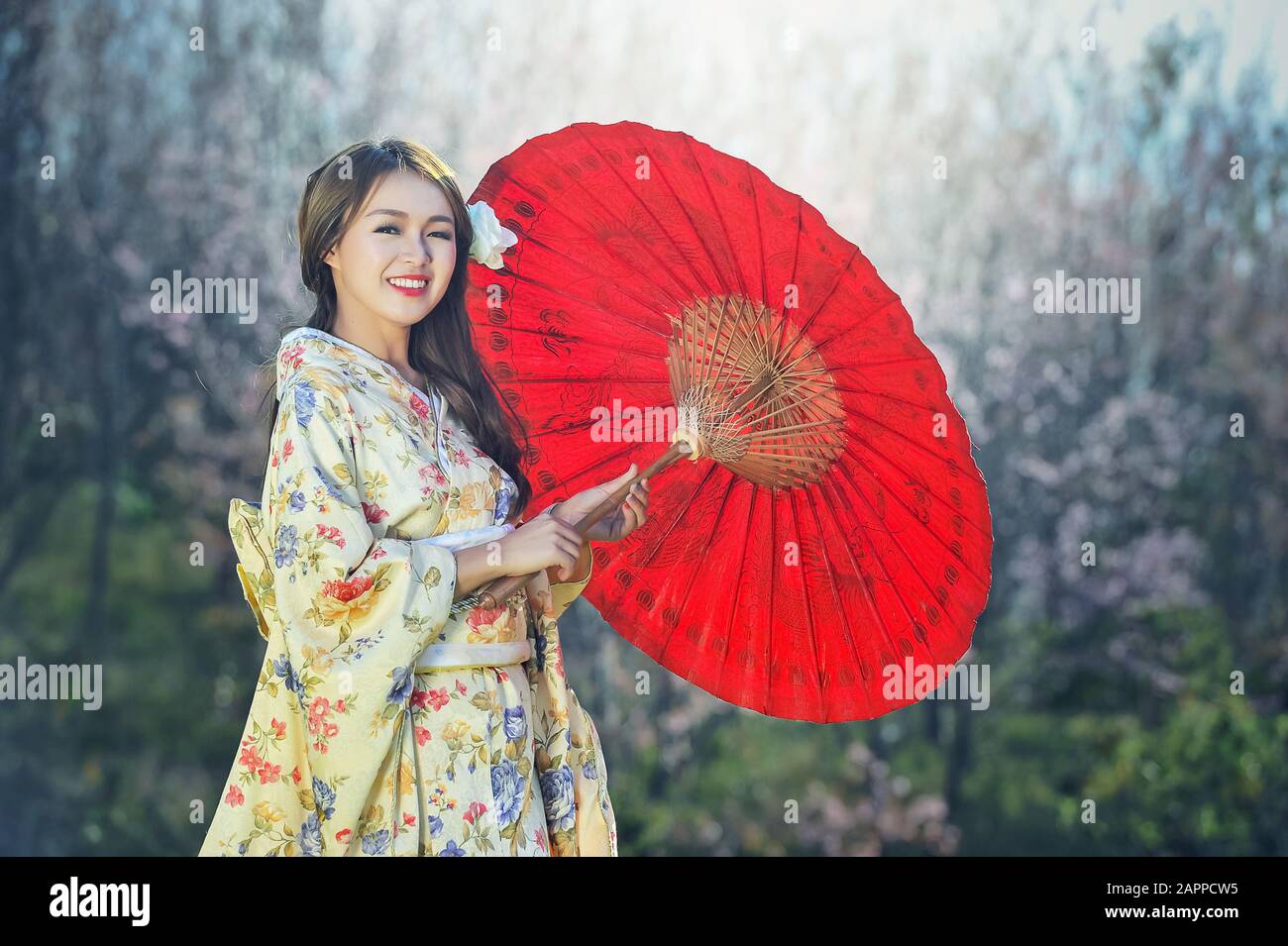 Asian women wearing traditional Japanese kimono Stock Photo