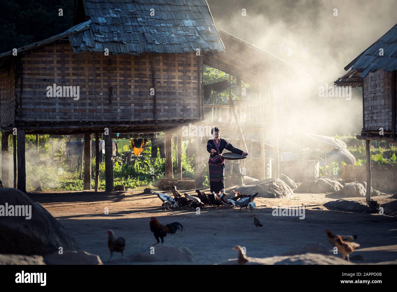 Asian girls feeding chickens at Laos countryside Stock Photo