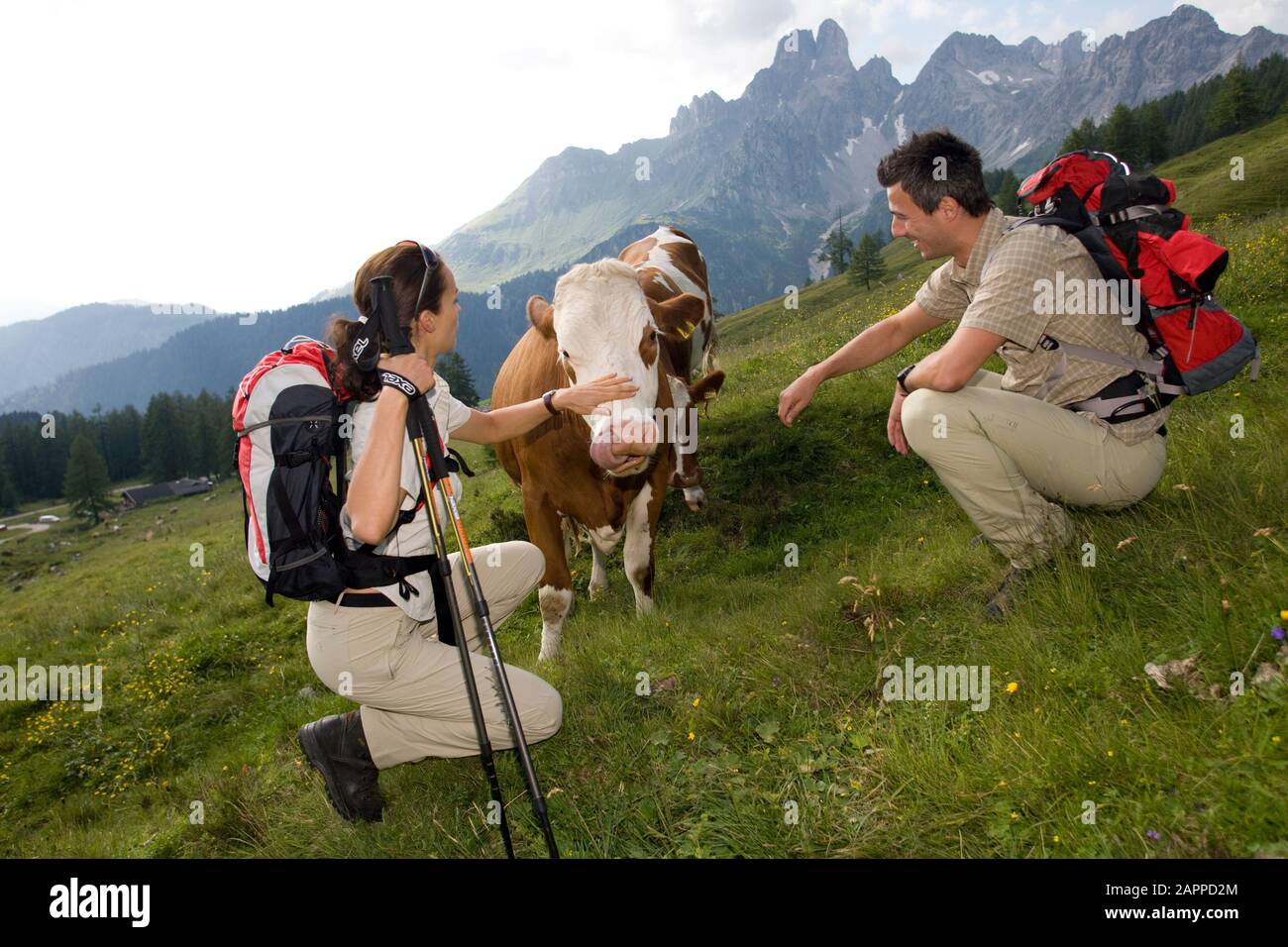 Ramsau am Dachstein, Wandern - Hiking Stock Photo - Alamy