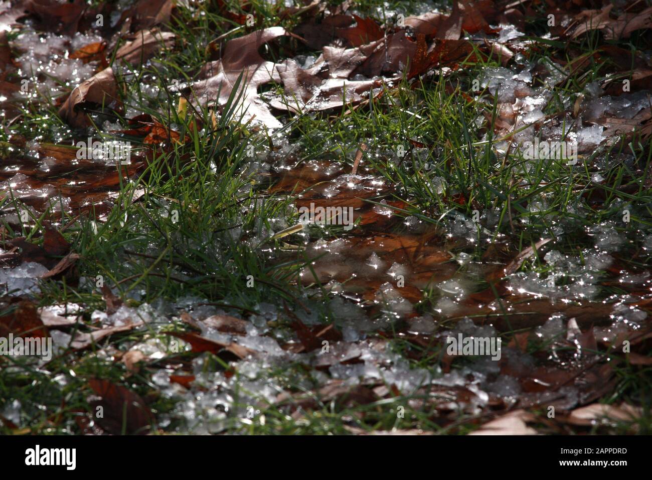 Ground temperatures hires stock photography and images Alamy