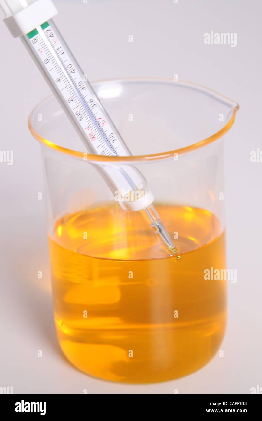 https://c8.alamy.com/comp/2APPE13/thermometer-in-glass-beaker-of-yellow-liquid-dip-science-lab-on-white-background-2APPE13.jpg