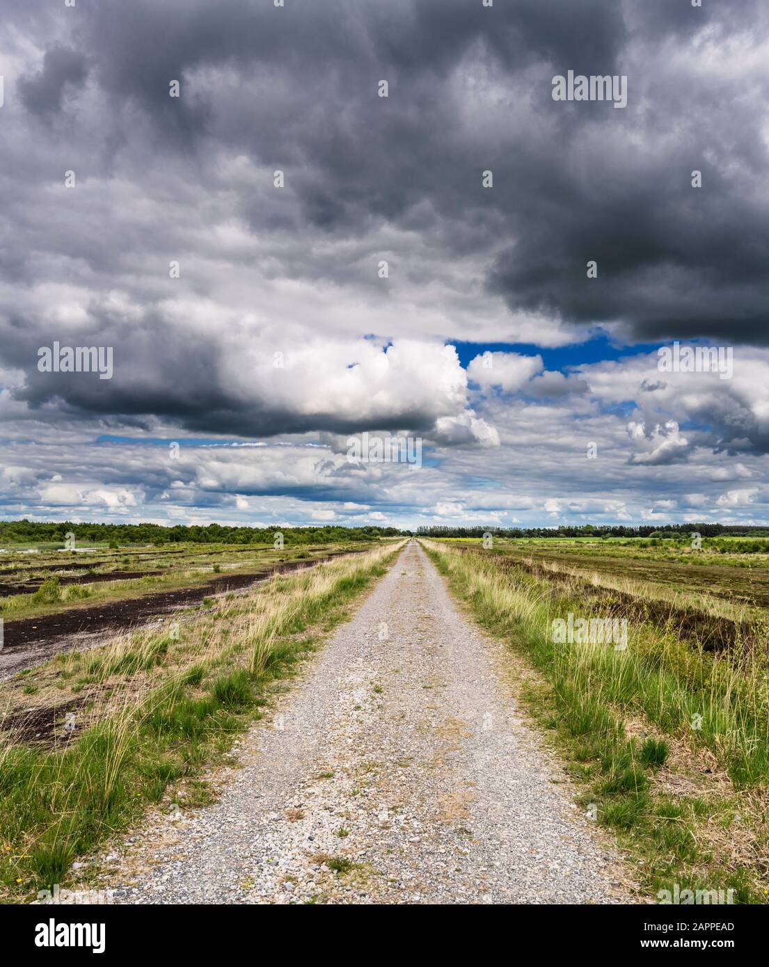 Walking path in County Offaly, Ireland Stock Photo