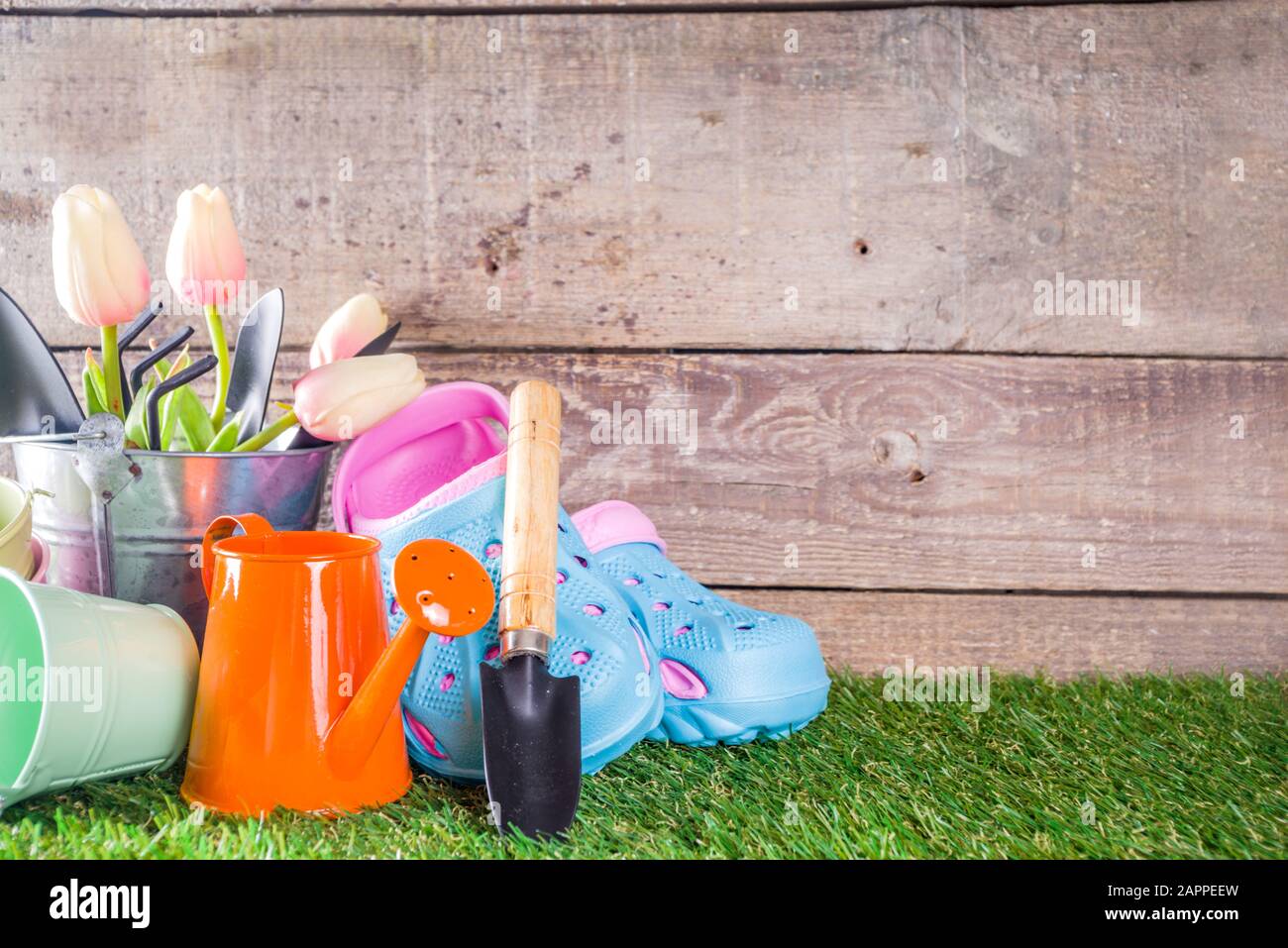 Gardening tools and flowers on the terrace and green grass in garden, Concept of spring gardening hobby copy space Stock Photo
