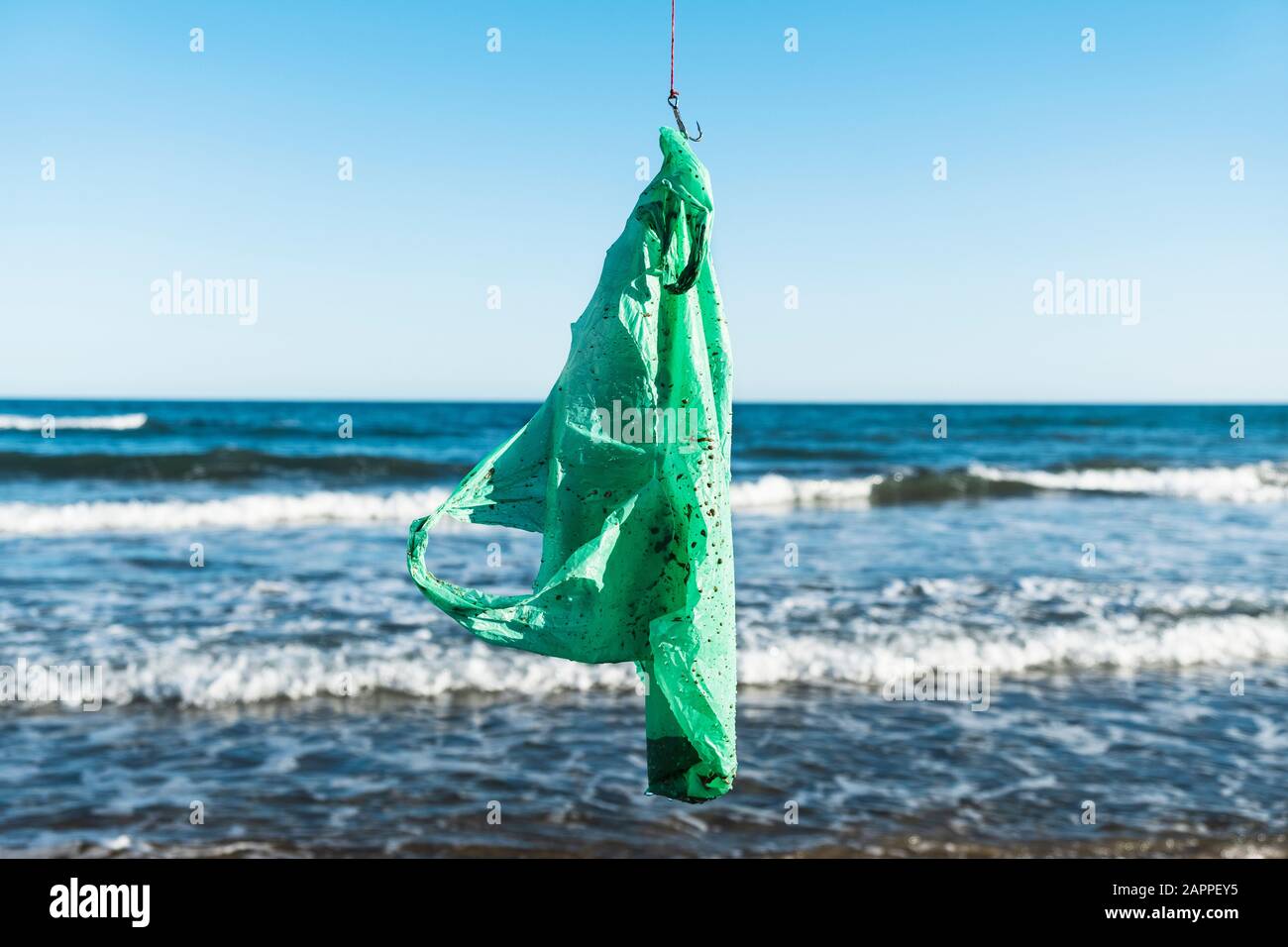 closeup of a used green plastic bag in a fish hook, freshly fished in the ocean Stock Photo