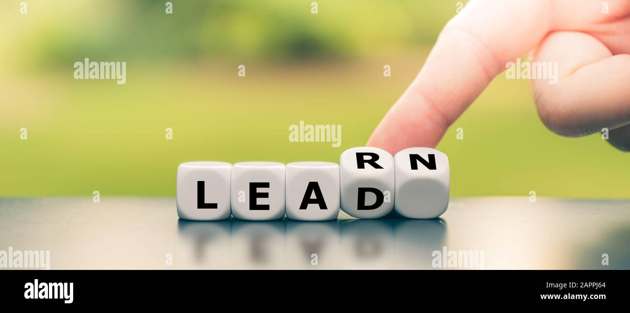 Dice form the words 'learn' and 'lead'. Stock Photo