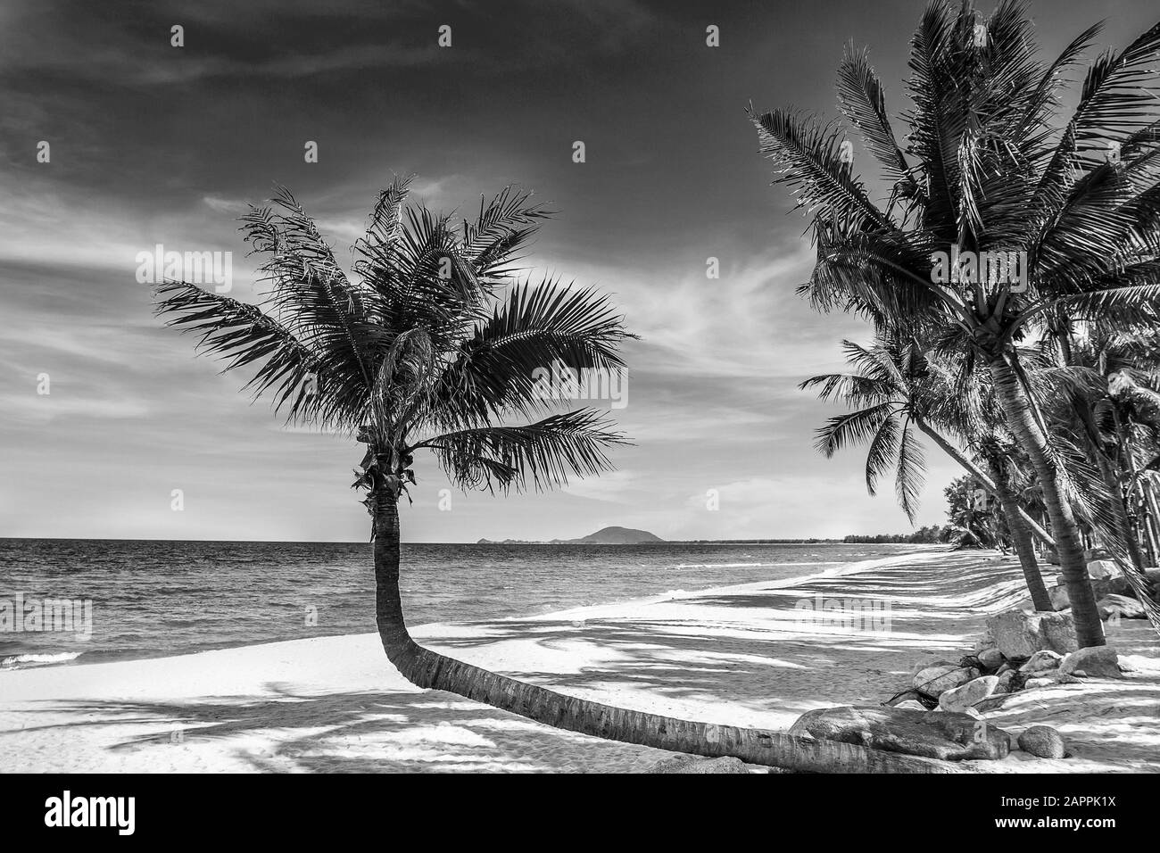 Black and white image of tropical beach,Thailand Stock Photo