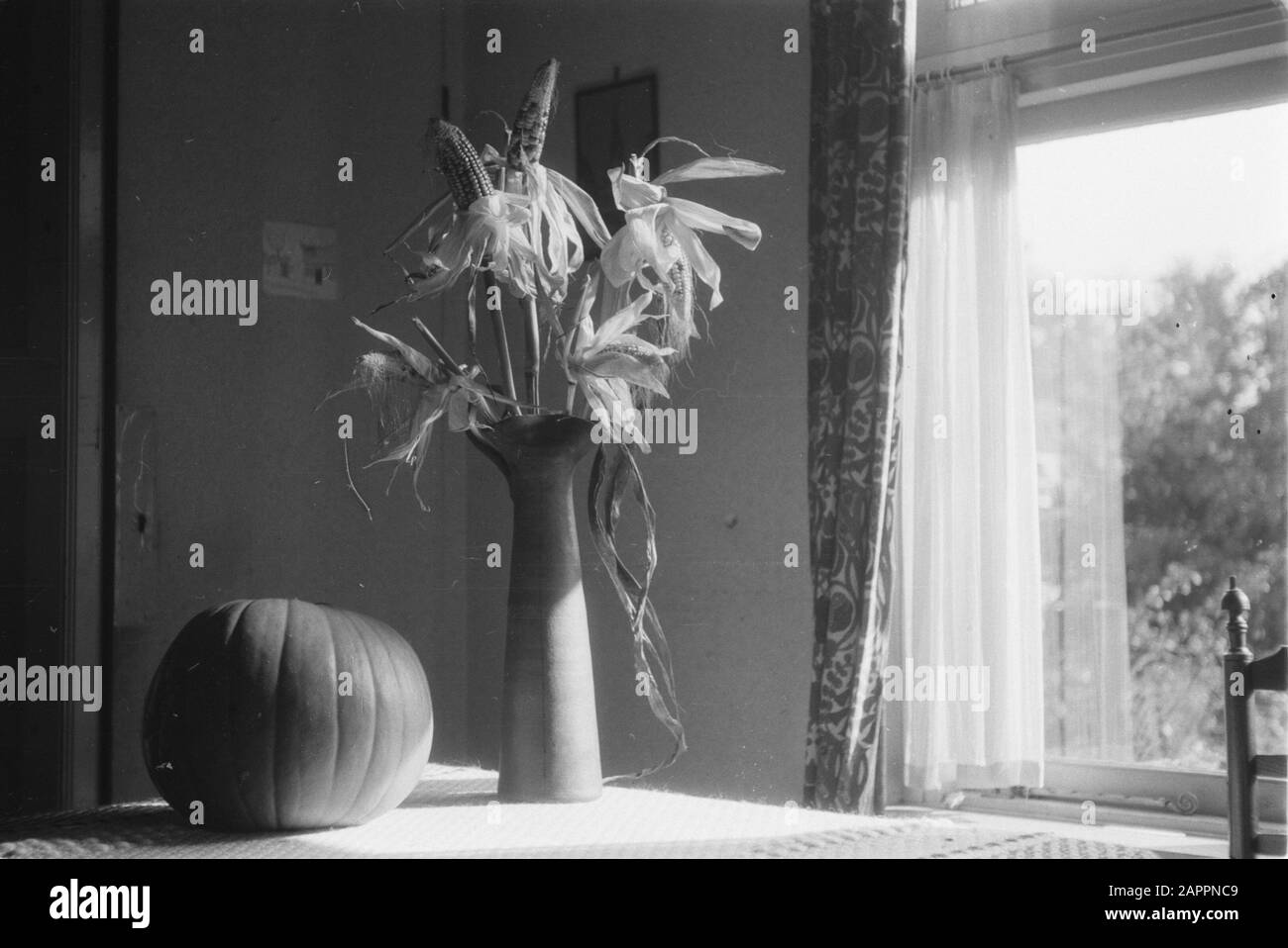 Interior of the course building on the Dalweg of the Nederlandse Heidemaatschappij in Arnhem Annotation: Still life with pumpkin and vase with flowers. Does not seem like a course building but a dwelling Date: 1950 Location: Arnhem, Gelderland Keywords: flower vase, course buildings, interior, pumpkins Stock Photo
