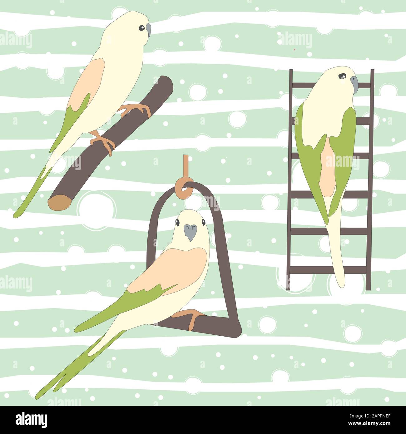 Set of three cute parrot birds sitting on branch and ladder. Bird Set