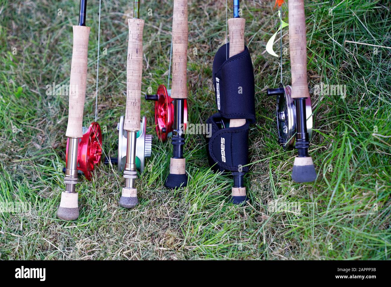 Fly Fishing Gear, Pike gear Stock Photo Alamy