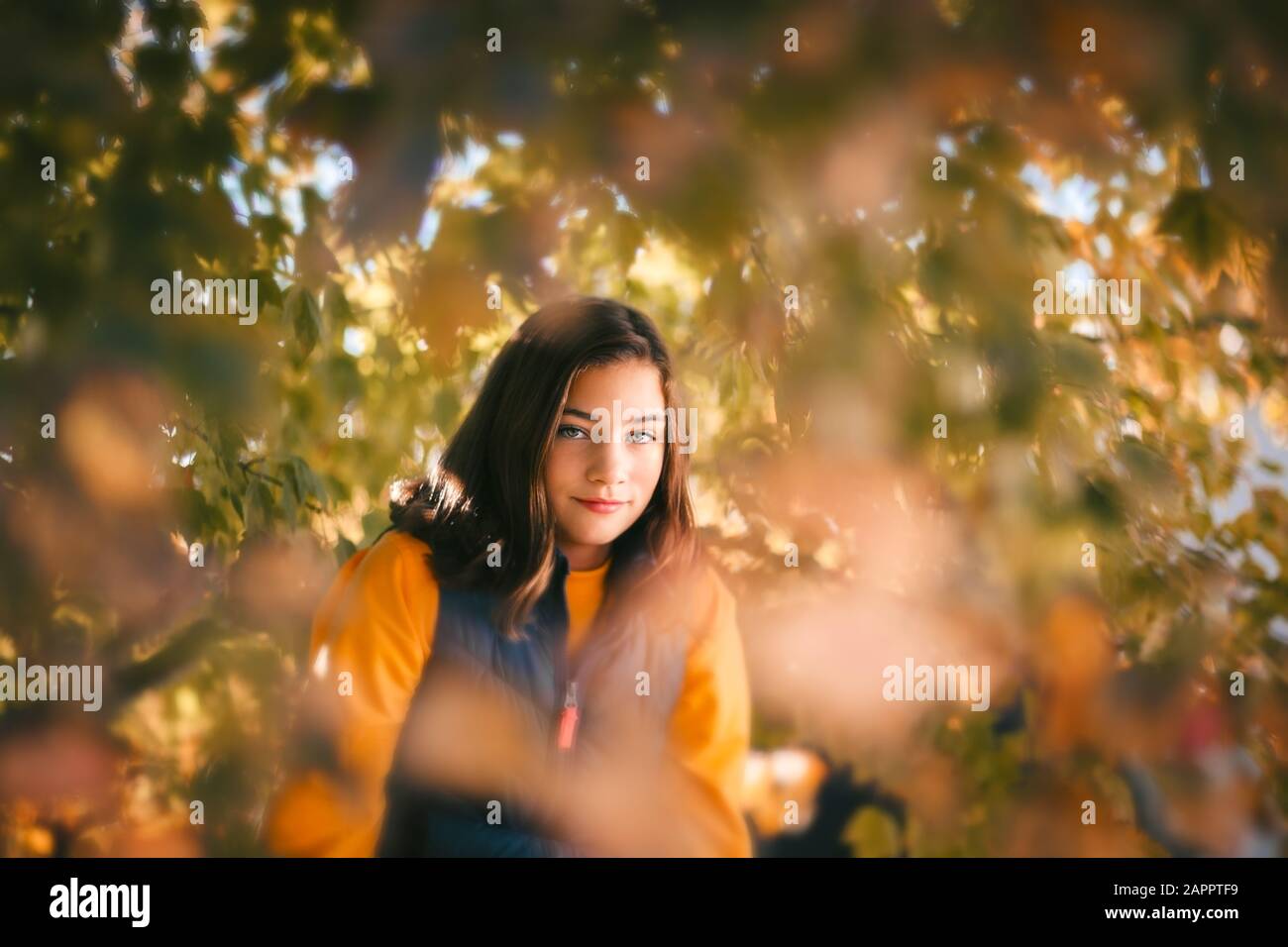 Girl hiding behind autumn leaves in the branches of a maple tree. Stock Photo