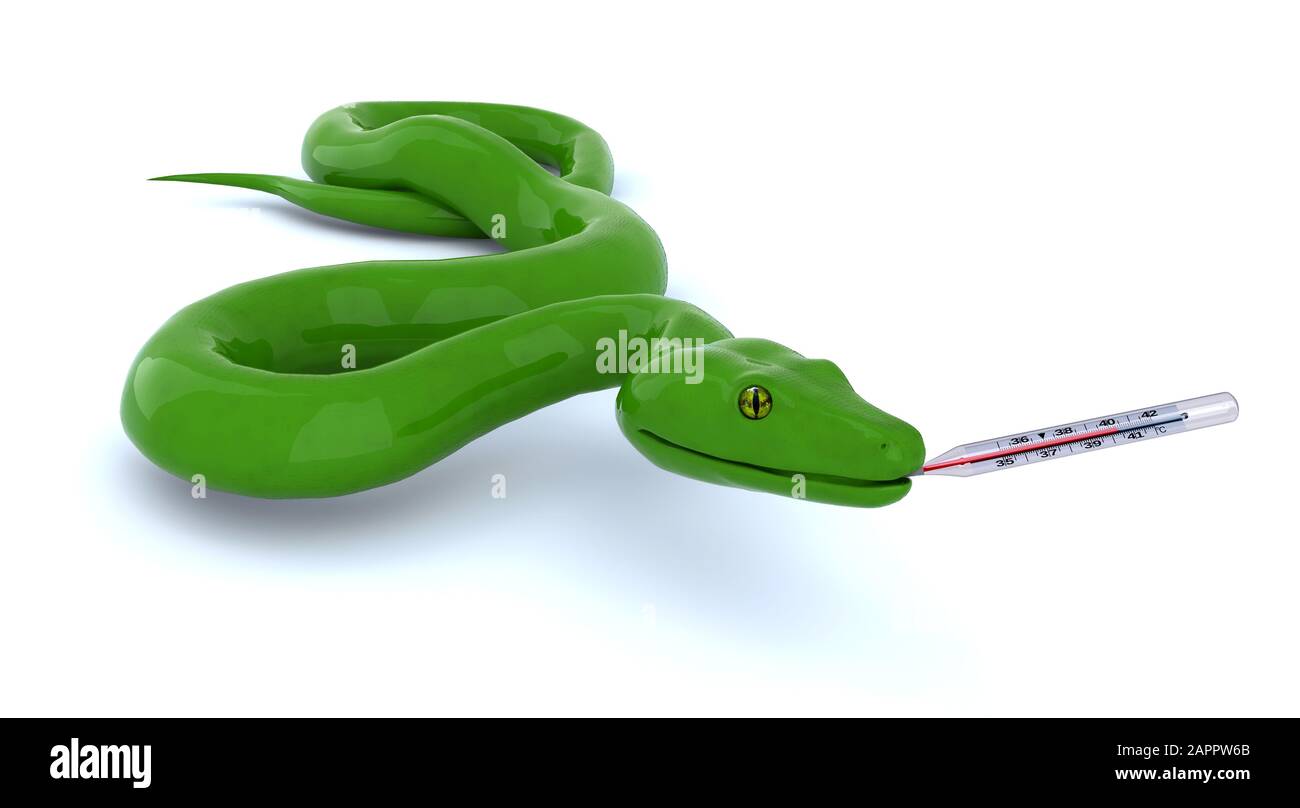 LOOK, SNAKE, 3D, GREEN, HD wallpaper