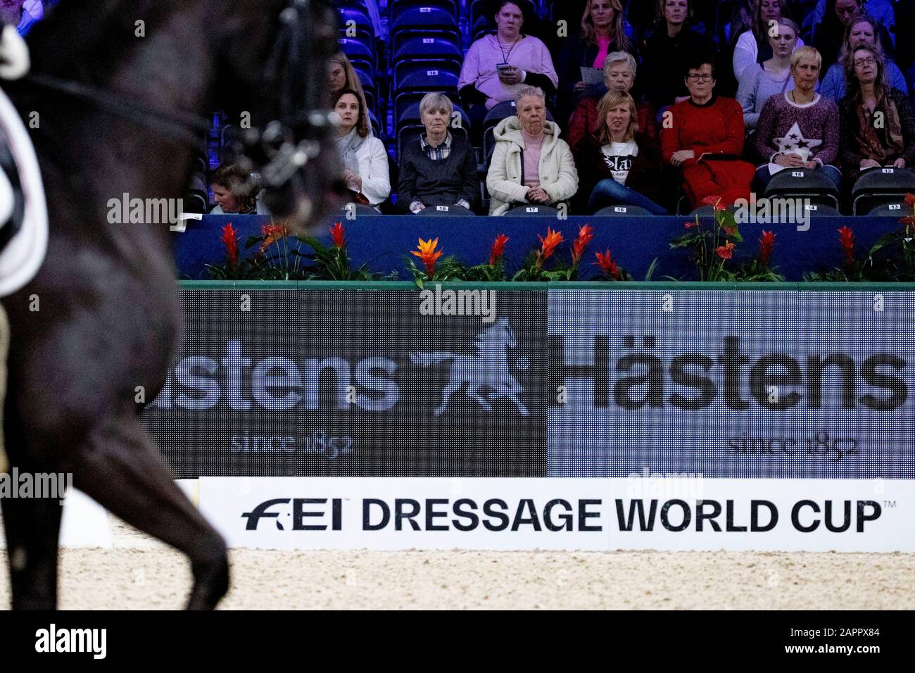 Rai News 24 High Resolution Stock Photography and Images - Alamy