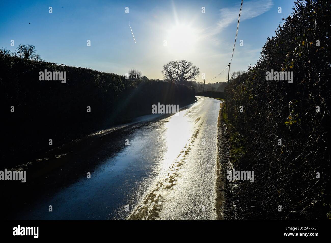 Rural country lane in The New Forest Hampshire UK Stock Photo