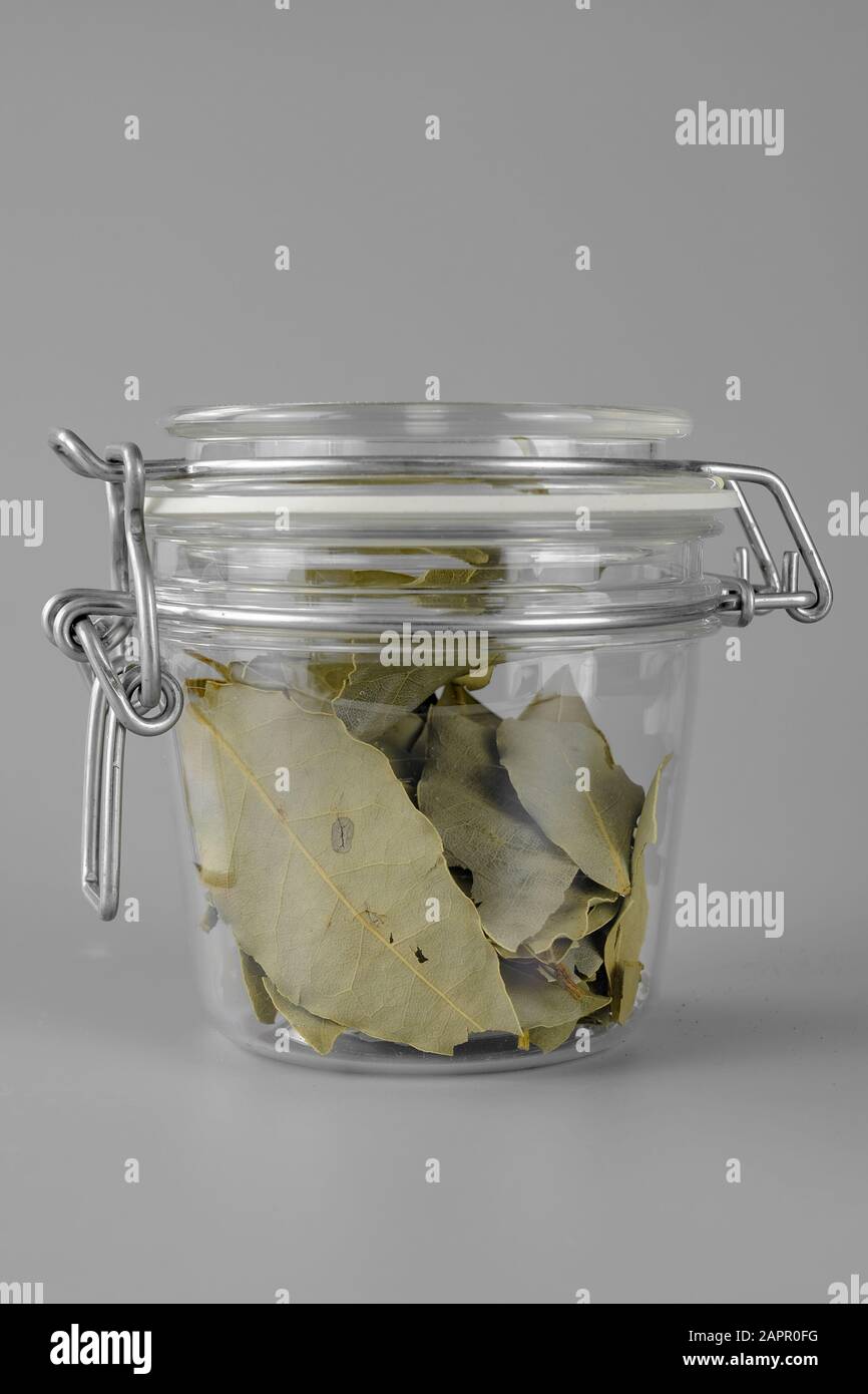 Glass jar with dried bay leaves for culinary seasoning.Selective focus with shallow depth of field. Stock Photo