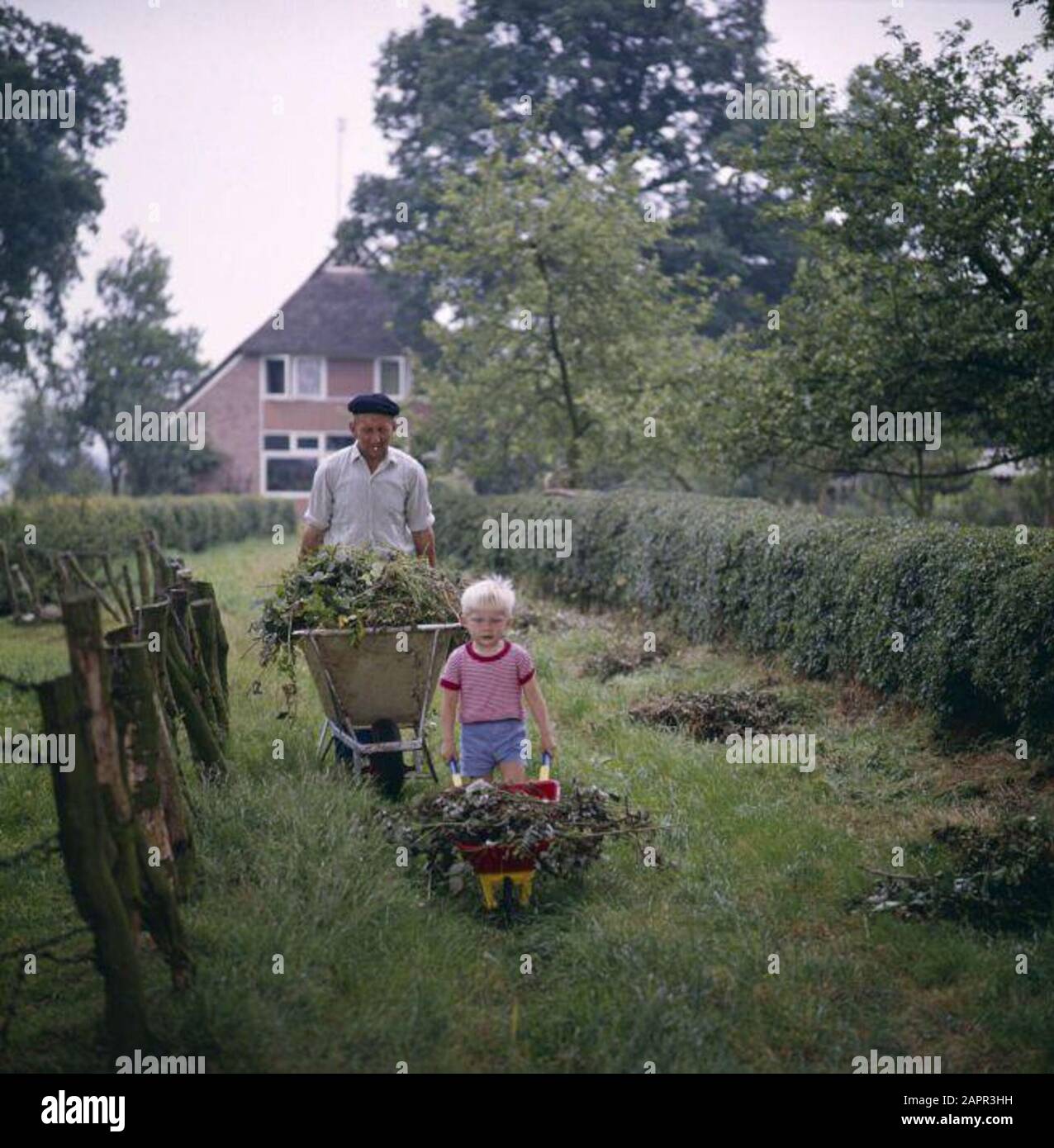 Farmer children. Father and son both with a wheelbarrow full of garbage, walk down the yard. Netherlands place unknown year 1973-1983. Stock Photo