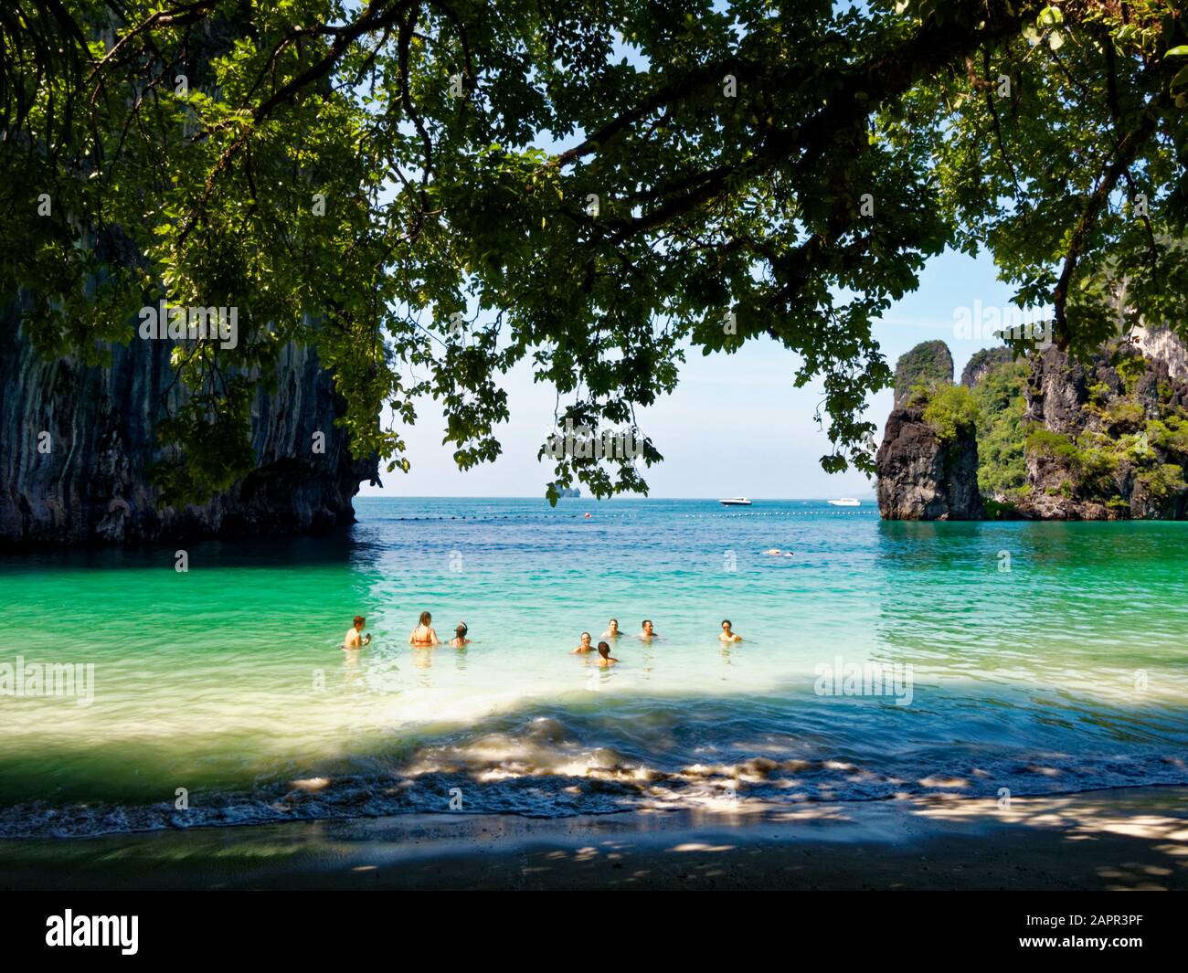 Swimming In Lagoon Than Bok Khorani Krabi Marine National Park Mu Ko Hong Thailand Asia Stock Photo Alamy