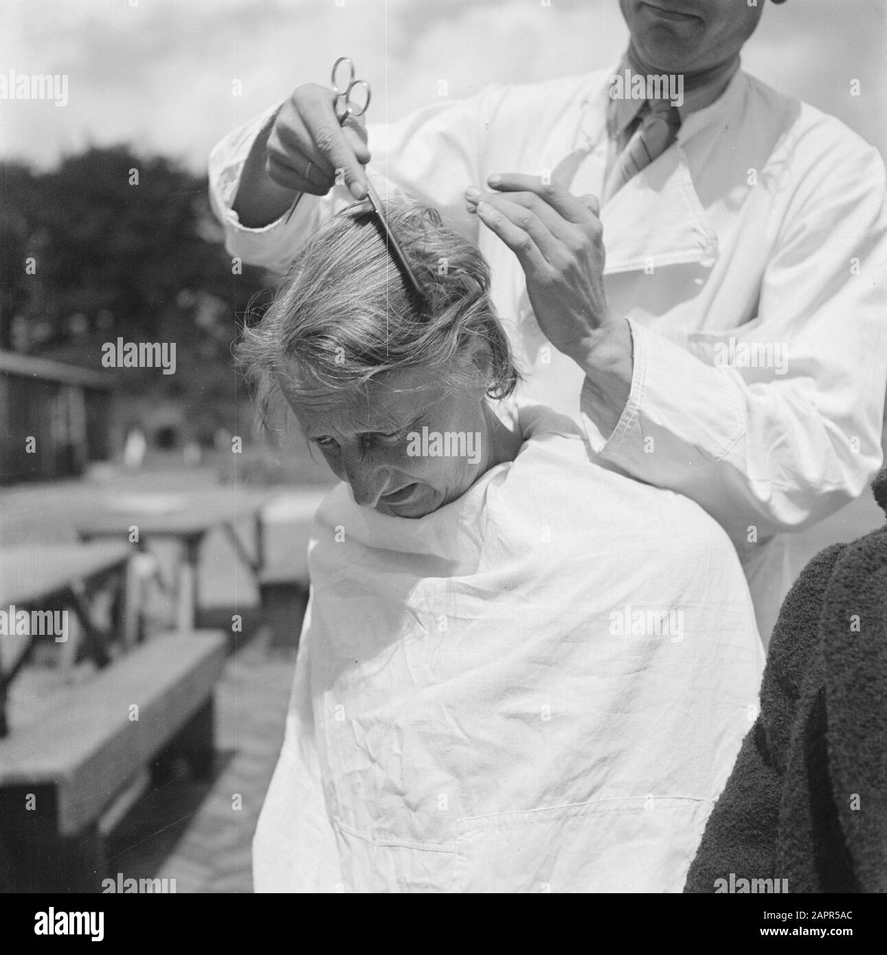 Head Lice Black And White Stock Photos Images Alamy