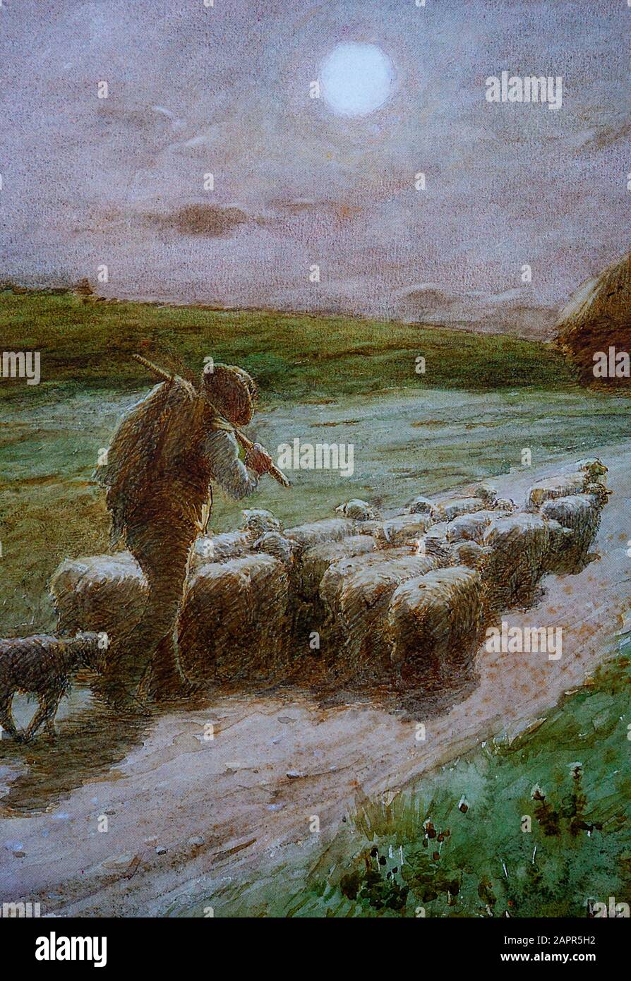 'End of the Day', an English shepherd and flock on a farm track by George Faulkner Wetherbee (1851–1920),  an American painter who lived most of his life in England after living in various countries on the continent of Europe. He achieved success in his 40s, with recognition by the distinguished London art societies, and his mastery of colour and light were highly acclaimed. He made several commercial rural scenes in the 1890s, immediately after his success. Stock Photo