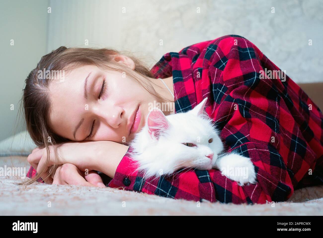 young girl portrait close-up sleeping on the couch with a white cat ...