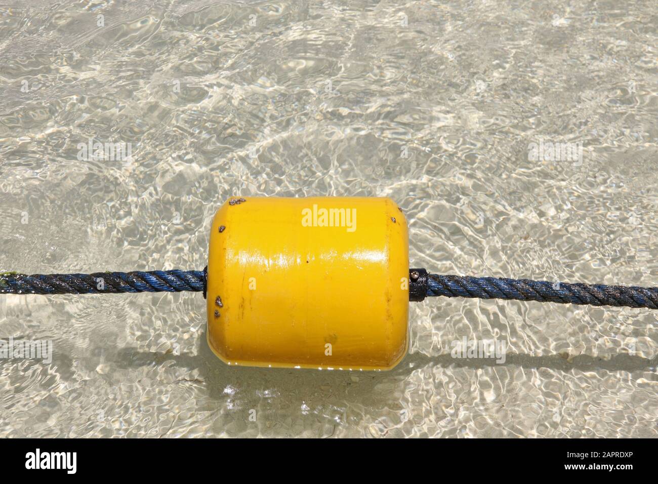 Buoy line along beach with and mangroves in the background, Mauritius. Stock Photo