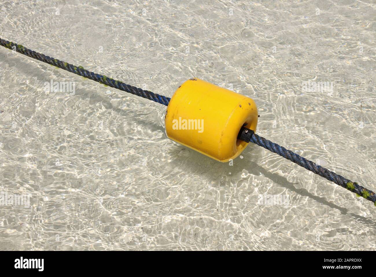 Buoy line along beach with and mangroves in the background, Mauritius. Stock Photo