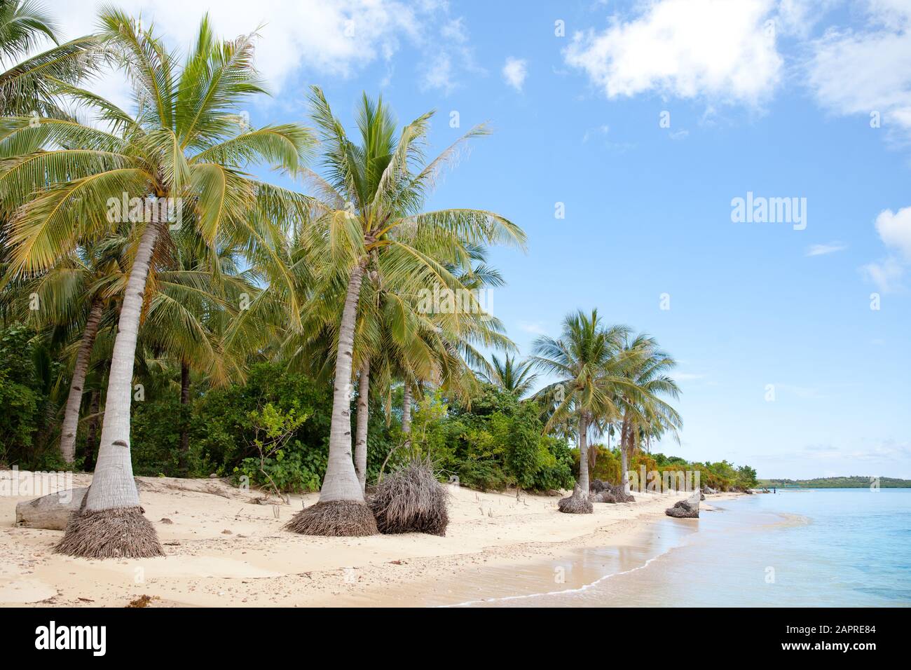 Tropical island with a white sandy beach. The nature of the Philippine Islands. Stock Photo