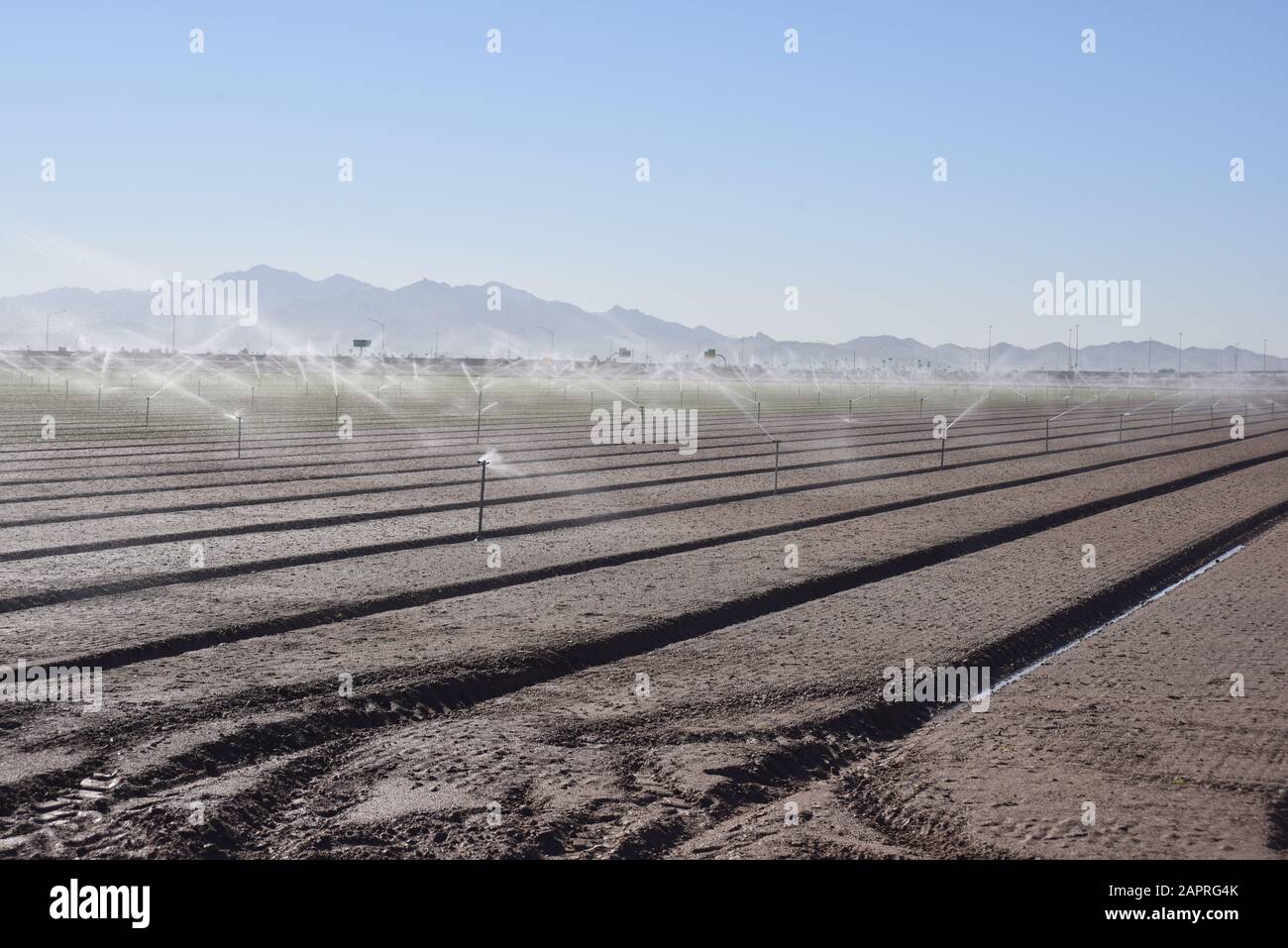 Sprinkler irrigated fields Stock Photo