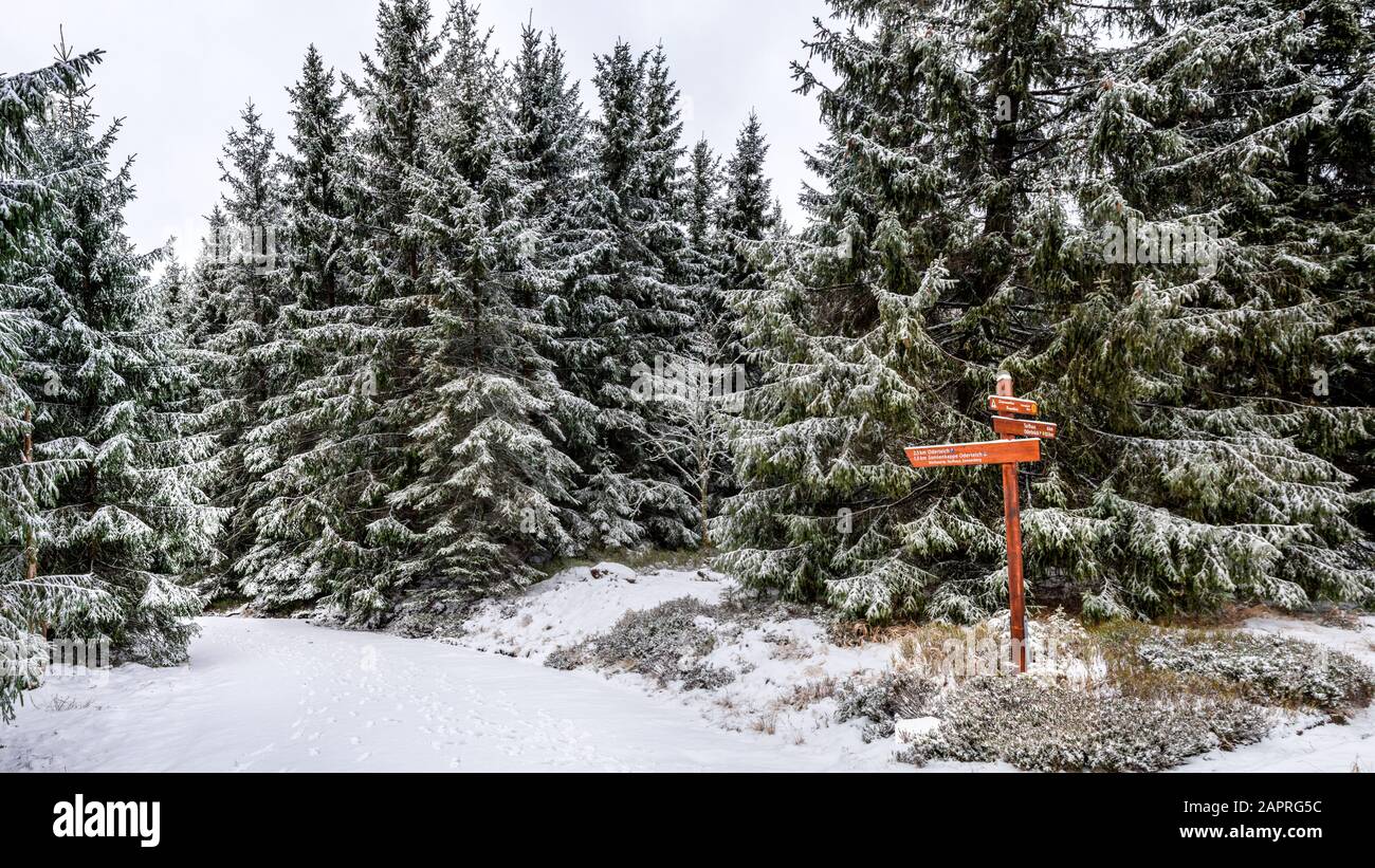 Hiking trail sign through the snow-covered Harz Stock Photo