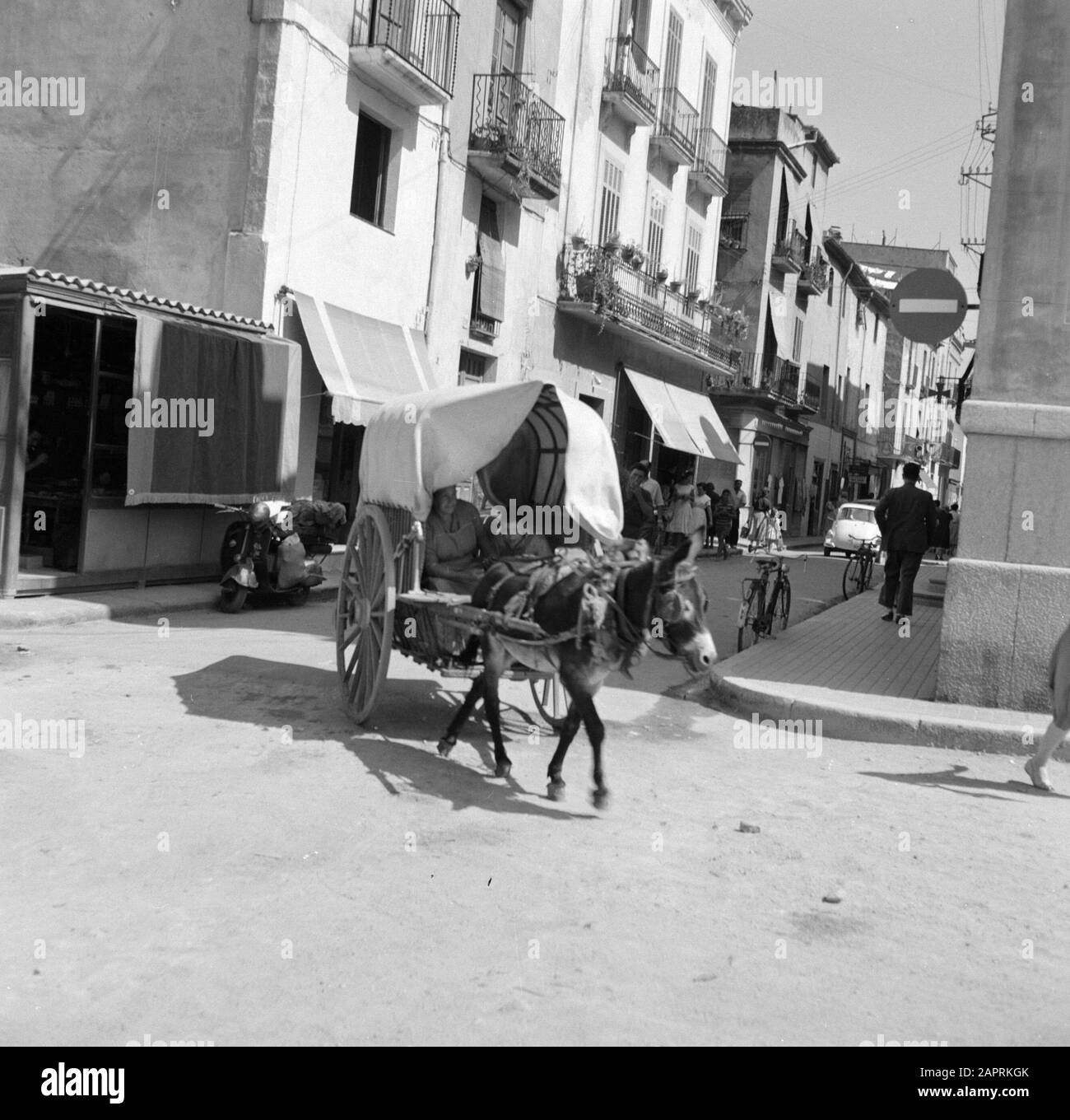 Carts and animal-drawn vehicles in Spain Mule drawn cart in Barcelona Date:  undated Location: Barcelona, Spain Keywords: donkeys, carts, street images  Stock Photo - Alamy