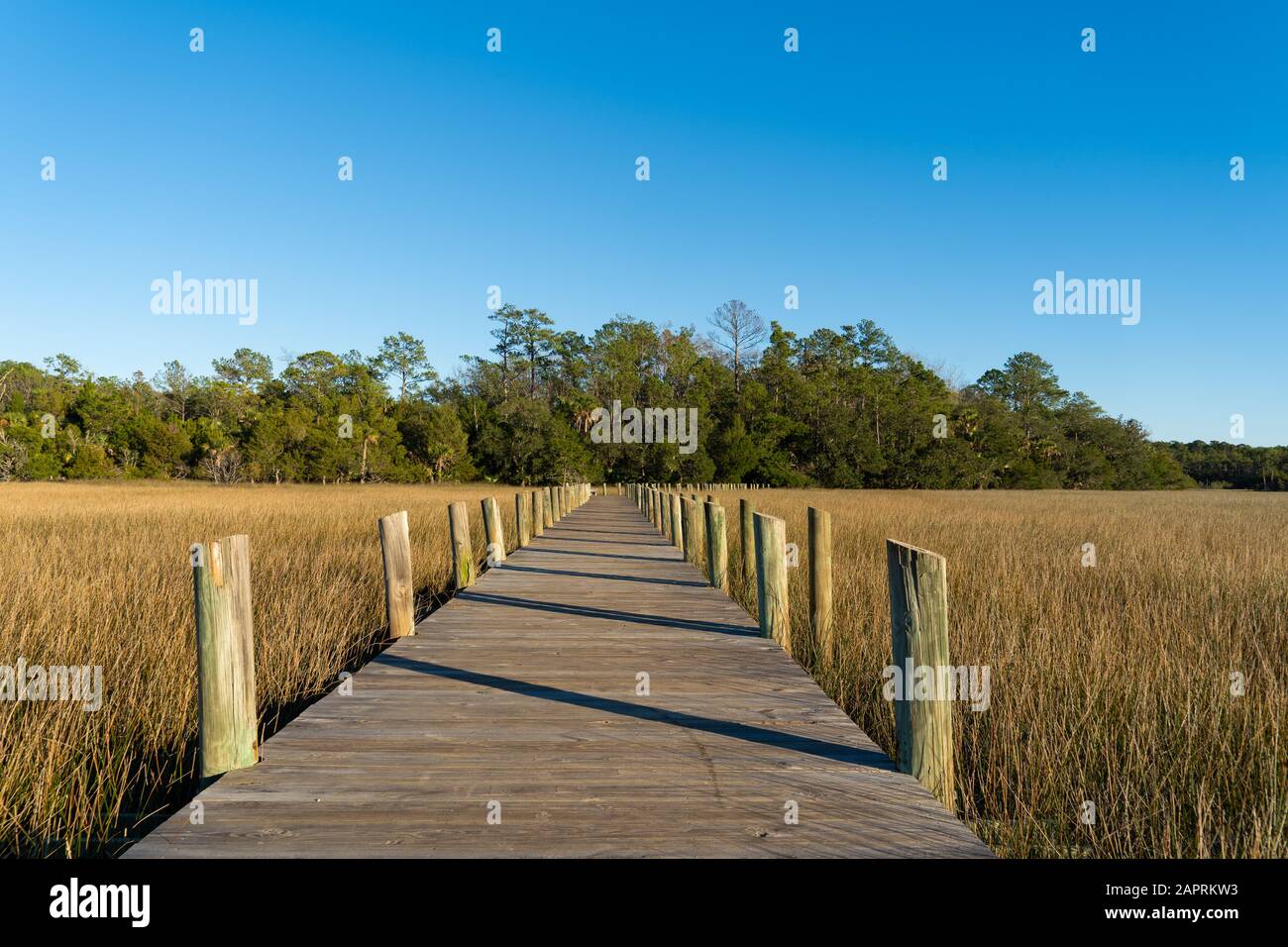 A raised wooden walking path cuts through marsh grass on a clear day Stock Photo