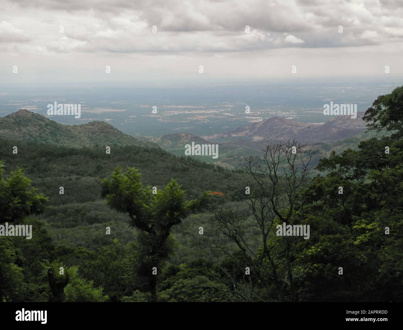 Landscape in the reserve Valparai, India, Tamil Nadu Stock Photo
