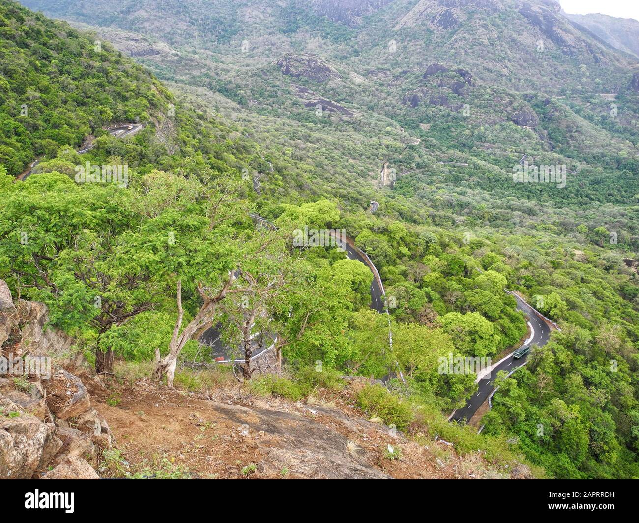Landscape with road in the reserve Valparai, India, Tamil Nadu Stock Photo