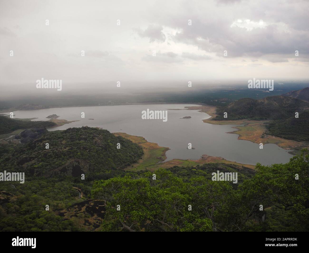 Landscape with lake in the reserve Valparai, India, Tamil Nadu Stock Photo