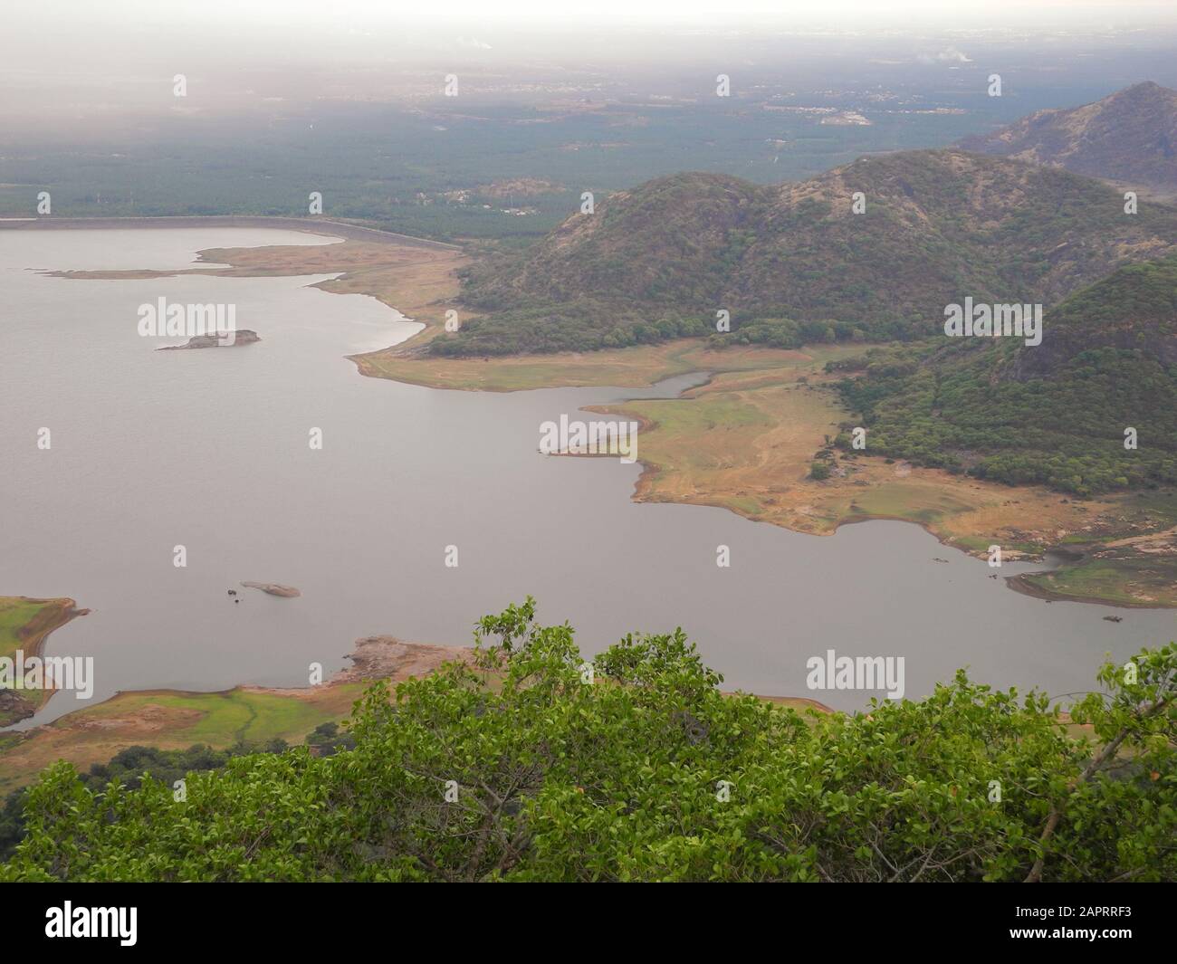 Landscape in the reserve Valparai, India, Tamil Nadu Stock Photo