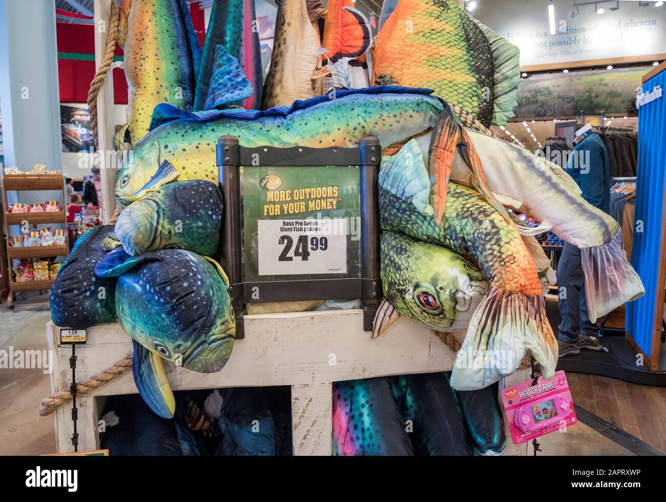 Beautiful and colorful large stuffed game fish at Bass Pro Shops outdoors store, Gainesville, Florida. Stock Photo