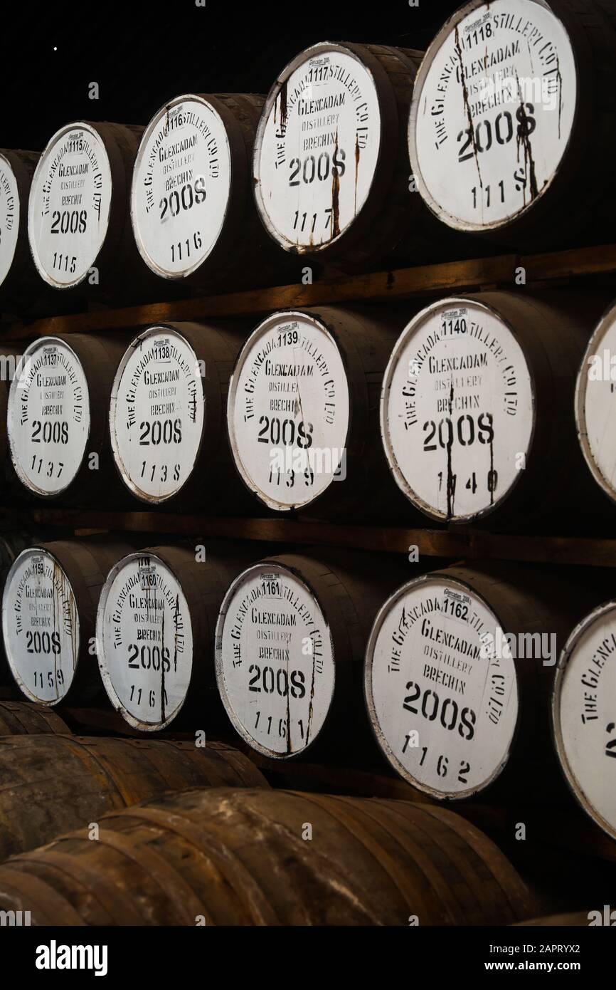 Whisky maturing in barrels stowed at Glencadam distillery which first opened in 1825, in the ancient city of Brechin, Angus, Scotland Stock Photo