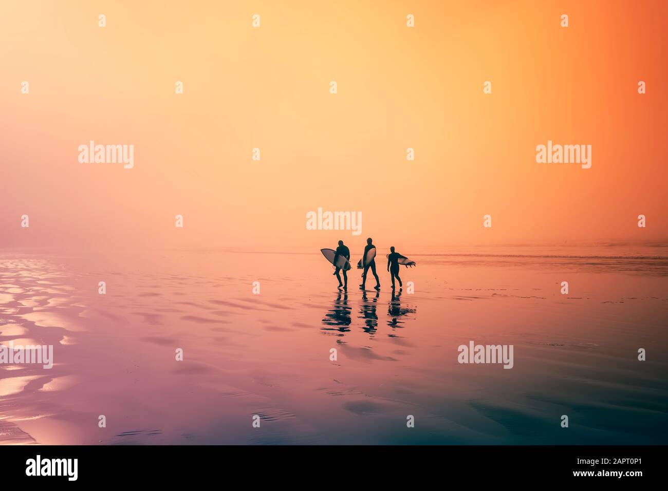 Colourful image. Early morning, surfers walking on the beach. Three surfers, walk along an ocean beach with their surfboards in hand. Stock Photo