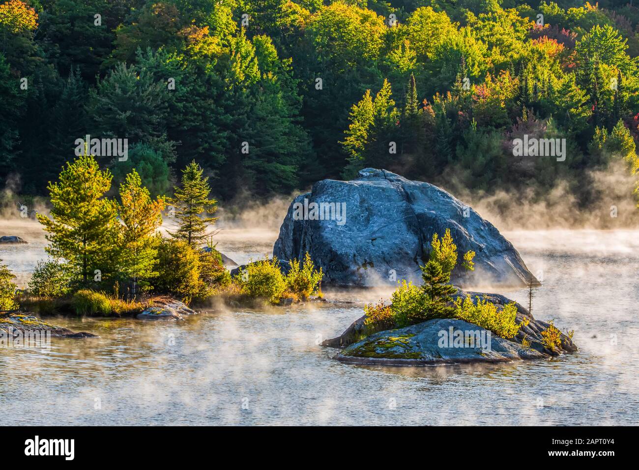 Rock formations with plants in the shallow water of Brome Lake with fog hanging over the surface; Brome Lake, Quebec, Canada Stock Photo