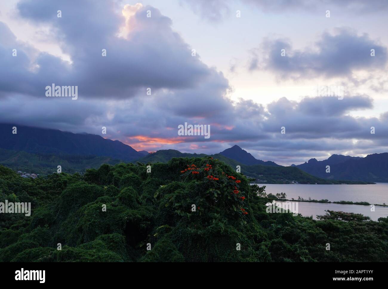 The colors of a sunset illuminate the tropical landscape of Windward Oahu, Hawaii. Stock Photo